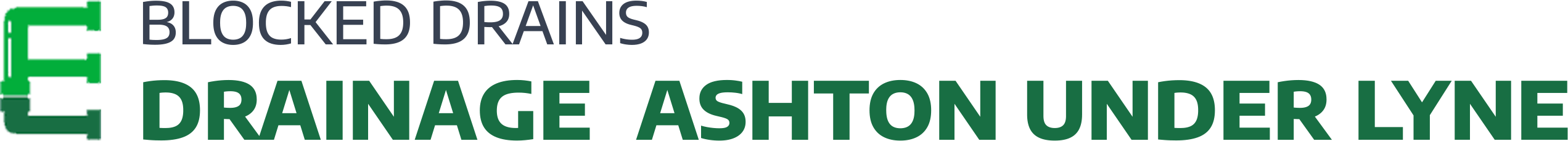 website logo